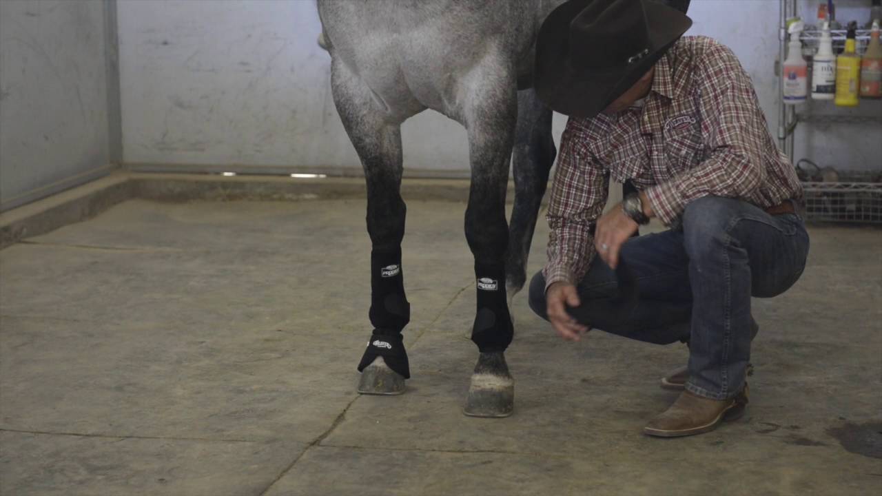 Applying Prodigy® Athletic Boots and No Turn Bell Boots
