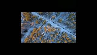 Sky limits #drone #viral