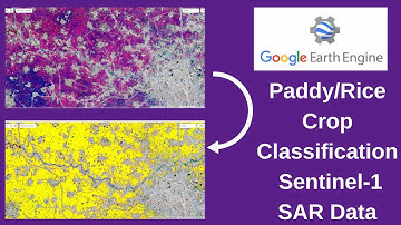 Google Earth Engine - Rice/Paddy Crop Classification using Sentinel-1 SAR data