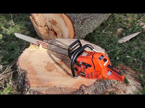 Days of Tree Removal to Build the BIGGEST Firewood Rack on YouTube ...