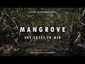 Mangrove une fort en mer documentaire