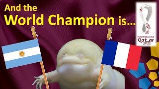 World Cup 2022 Predictions ⚽ Argentina vs France 🐸 The Guessing Frog | The FINAL