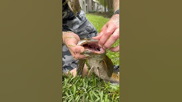 Stackz Compilation Part 17!