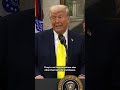 President Trump speaks about Russia-Ukraine peace talks, says he wants the war in Ukraine to end