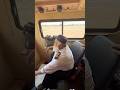 Pakistan locomotive pilot