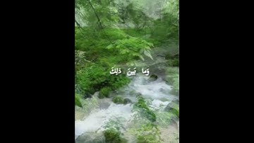 ماتيسر من سورة  مريم بصوت  القارئ  الشيخ  / عبد البديع غيلان  .
