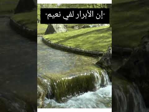 أروع مقطع قد تسمعه في حياتك إن الابرار لفي نعيم الشيخ عبد الباسط عبد الصمد