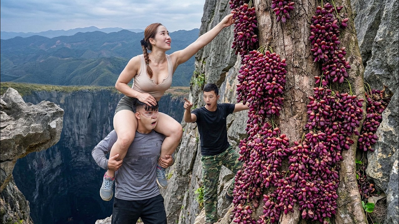 Harvesting Rare Mutant Orchids Parasitizing an Ancient Tree on a Dangerous Cliff | Do Not Try This