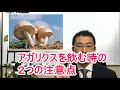 アガリクス・キングアガリクスを飲む時の2つの注意点