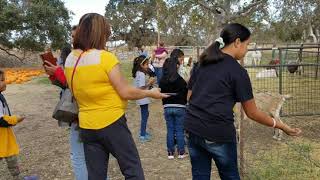 Otro año en Joan's farm y pumpkin patch en livermore ca