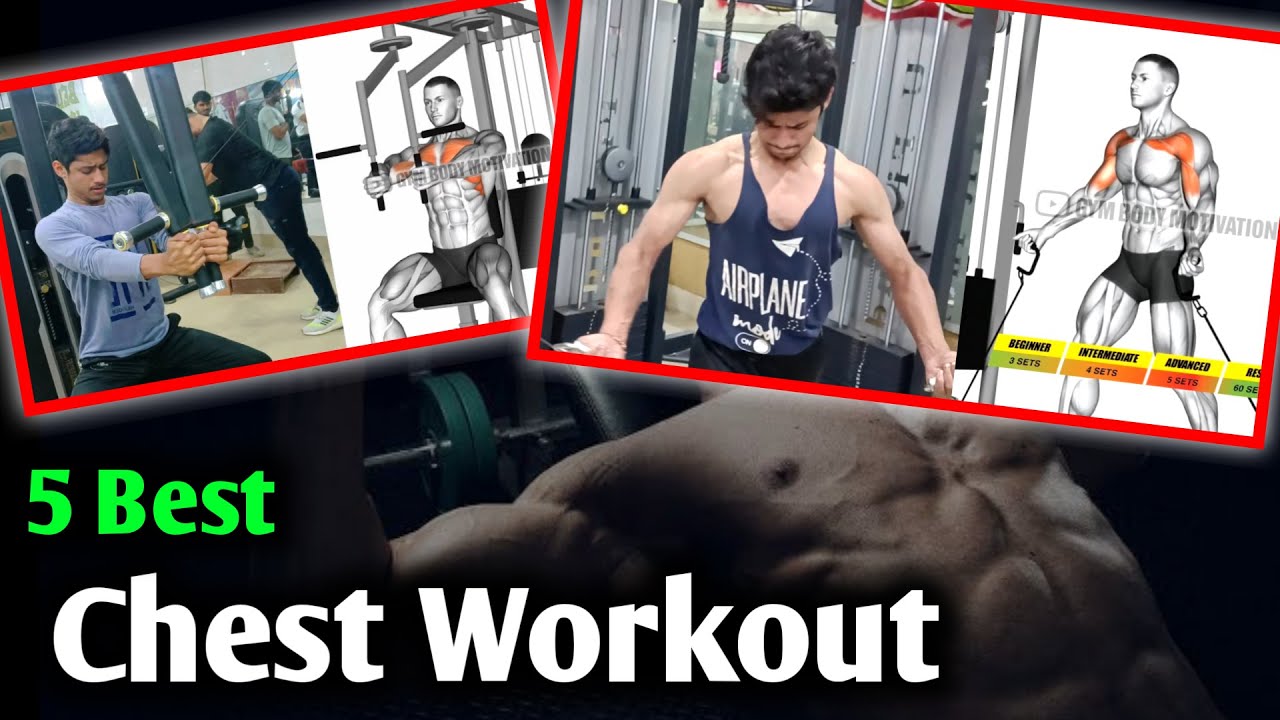5 chest workout for beginners | Chest Workout | Fitness tips - YouTube