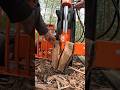 Firewood splitting! 7 days in a row splitting firewood!