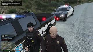 LSPDFR NO COMMENTARY SHERIFF PATROL