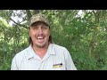 Snake Hunting! The Python Hunter : AnimalBytesTV