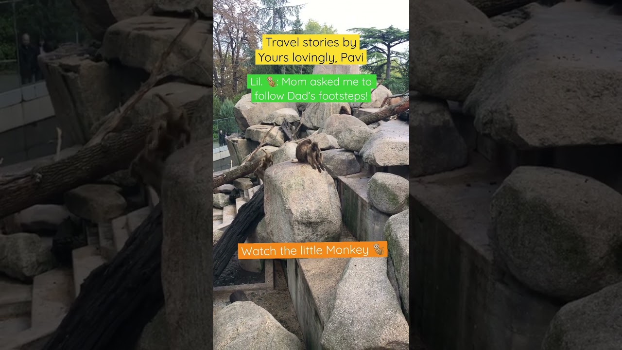 Cute 🥰 Little Monkey follows her Dad’s footsteps