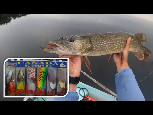 Pikes Can't Resist These Lures [Mepps Canada Bonanza Kit] 