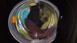 Beko Wmb Daily Quick Banging Interm