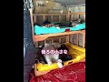 トラック運転手と旅する猫たち 🐱🚛のサムネイル