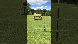Experimenting with YouTube. Nature act-12.