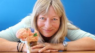 HNA-Serie Gehirntraining: Gehirnhälften aktivieren und verknüpfen screenshot 1