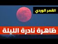 ظاهرة نادرة وجميلة هذه الليلة لا تفوتكم مشاهدتها القمر الوردي ظاهرة نادرة وجميلة هذه الليلة لا تفوتكم مشاهدتها القمر الوردي