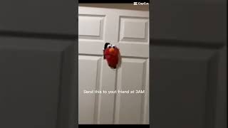 Send This To Your Friend At 3Am