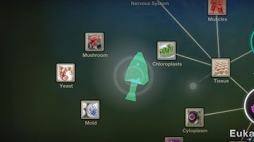 FUNGI ARTIFACT GLITCH (Cell to Singularity)