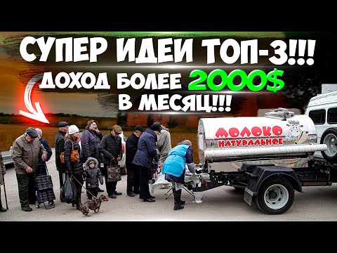 Видео: 5 лучших пород лошадей для бочковых гонок