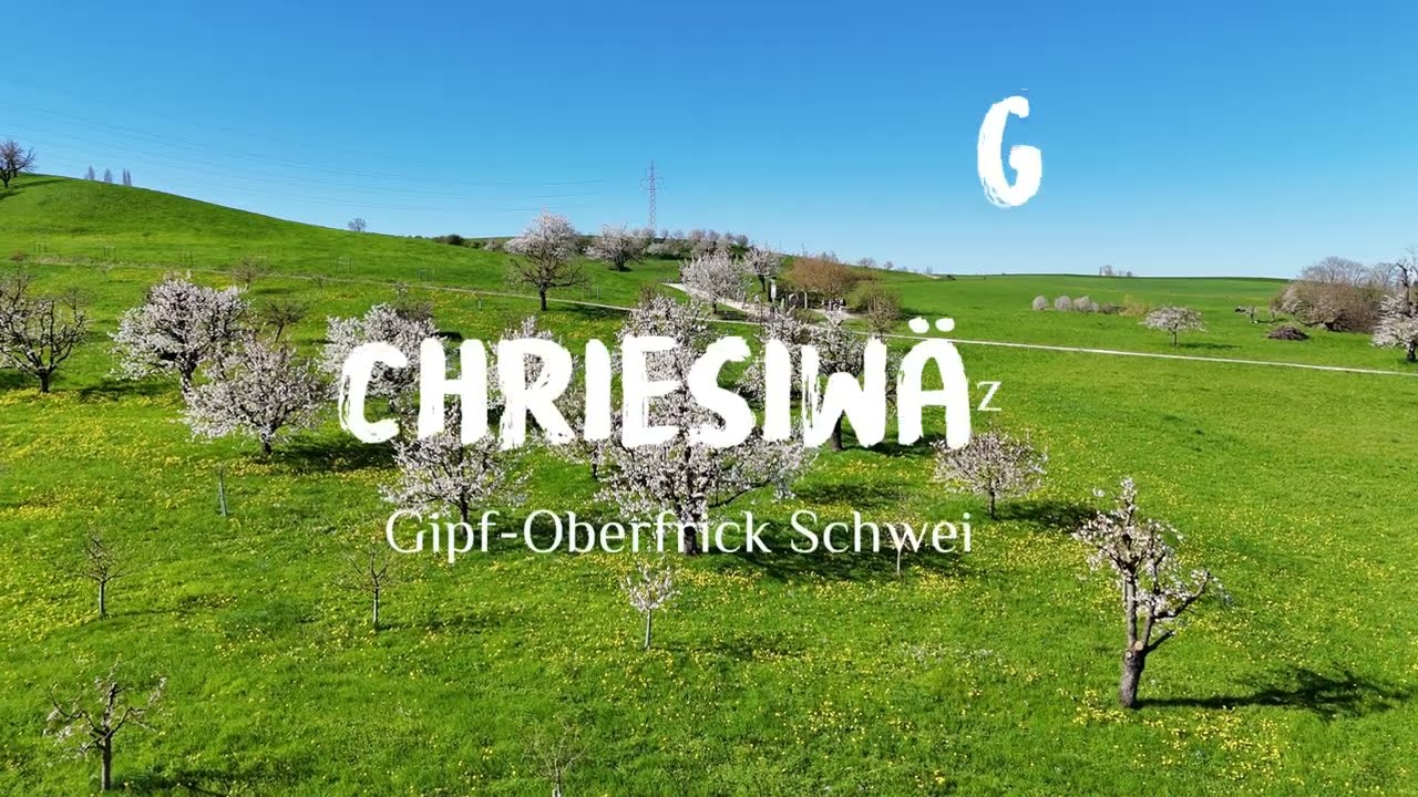 Der Chriesiwäg in Gipf-Oberfrick Schweiz #Chriesiwäg #GipfOberfrick #Kirschblüte #Fricktal #nature