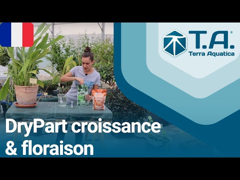 Croissance et floraison avec DryPart