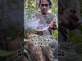 Wilderness survival skills, ditting fire rope #primitivefirelighting #bushcraft