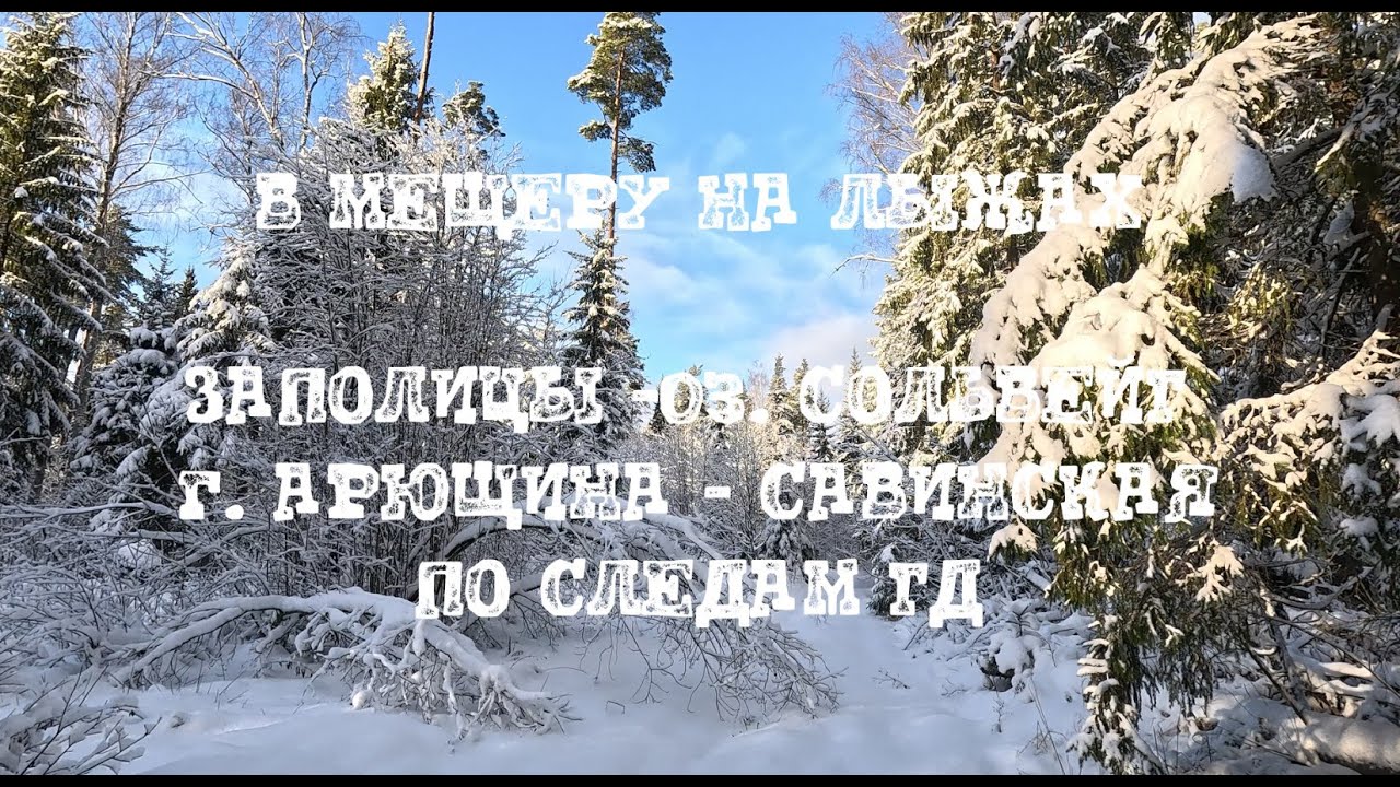 МЕЩЕРА НА ЛЫЖАХ