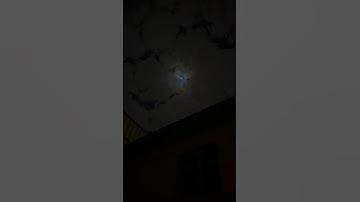 قالَ رَبِّ إِنِّي ظَلَمْتُ نَفسي فَاغفِر لي |المنشاوي |محمد صديق سورة القصص