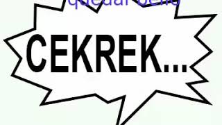 Sonríe A La Cámara