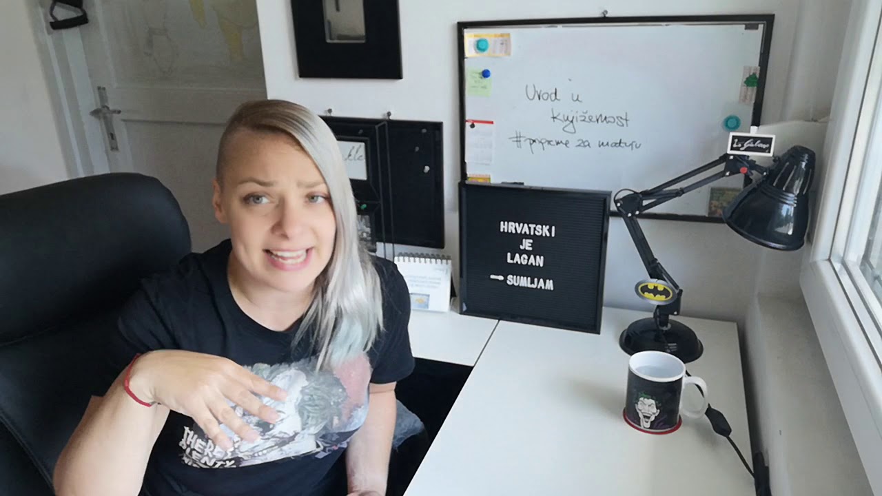 Pripreme za državnu maturu - uvod u književnost (nastava na daljinu, prof. Narančić)