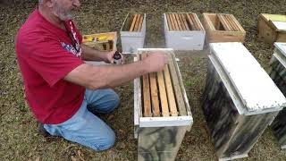 Setting Up Swarm Boxes 2 -24-2021