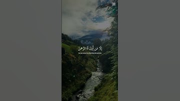 #اكسبلور #قران_كريم #قرآن #راحة #راحة_نفسية #راحة_القلب #راحة_القلوب قرآن كريم اجر لي ولكم❤️❤️❤️❤️❤️
