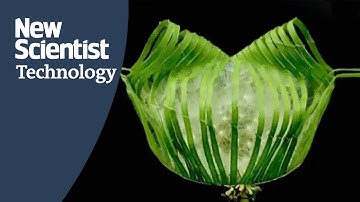 Robotic gripper made of paper can grab both delicate and heavy things