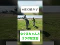 深層組の正義なぐるちゃんとミーム踊ってみた！ #夜の踊り子