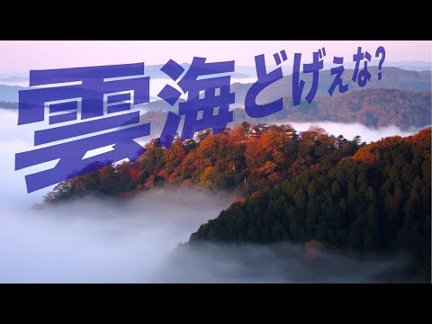 備中松山城雲海展望台からの眺望ライブ配信 Bitchu Matsuyama Castle: Sea of clouds view from the mountain castle in the sky