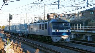 2018/12/29  EF210-125牽引  2053レ  トヨタロングパスエクスプレス
