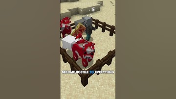 WHAT Is The "JOHNNY" VINDICATOR In Minecraft?