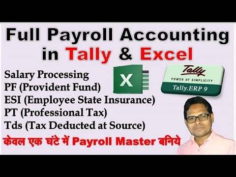 Full Payroll Accounting in Tally | How to Make Salary in Tally & Excel ...