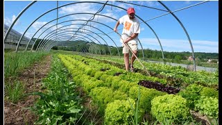 Embracing Sustainable Agriculture - The Benefits of Organic Farming (17 Minutes)
