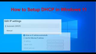 How to Set DHCP on Windows 11