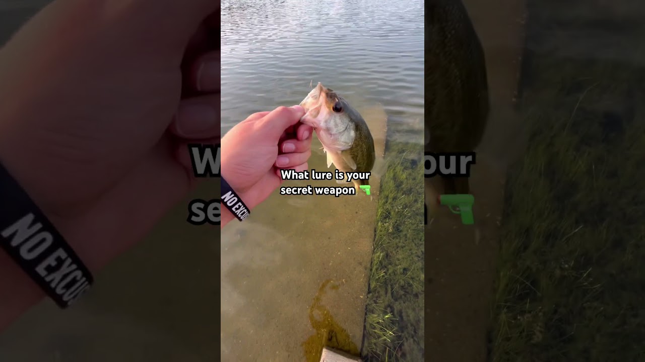 What lure is your back up plan? 