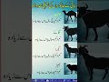 #cow#eidmubarak #qurbani2026