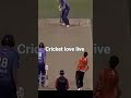 cricket lovever