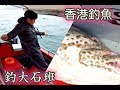 香港釣魚 近至南丫 遠至南油 釣大石班