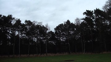 First Loop Align T-Rex 450 clone !